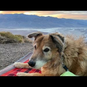 Meet your Posher, Kaitlyn